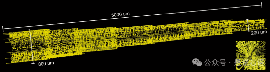 复旦团队重大突破 世界首款纤维芯片问世:大规模集成电路 卡车碾压也不怕